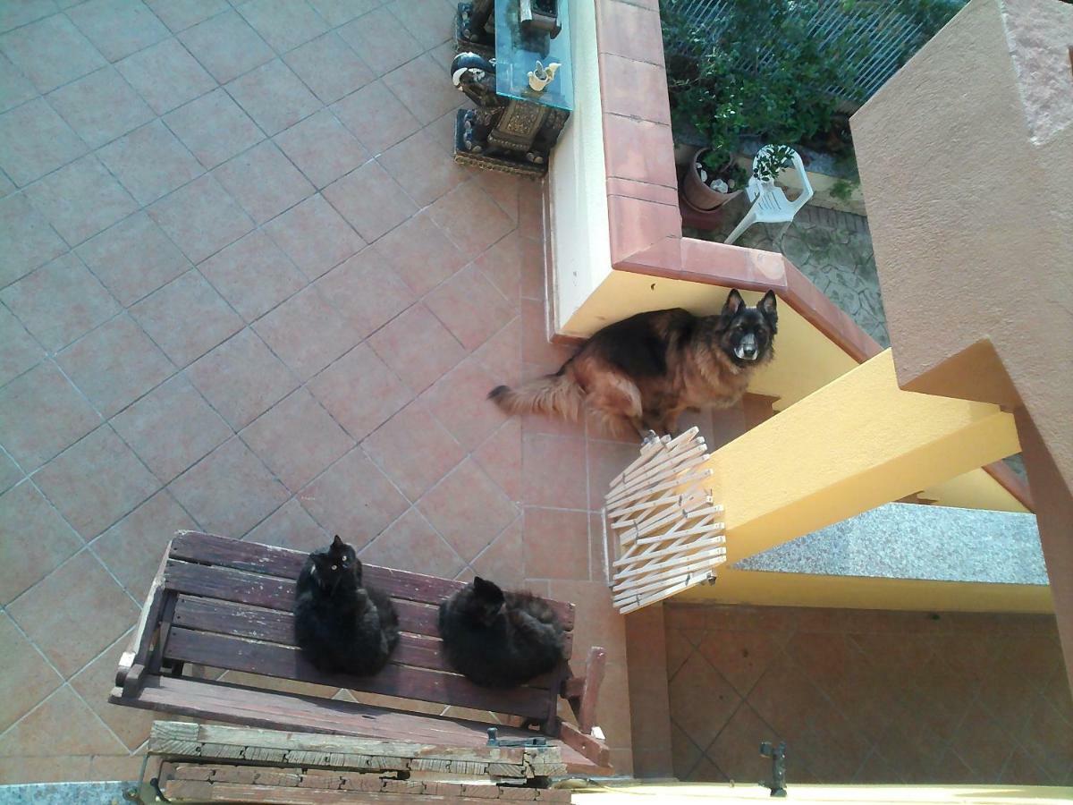 B&B Villa Sul Golfo Quartu SantʼElena Buitenkant foto